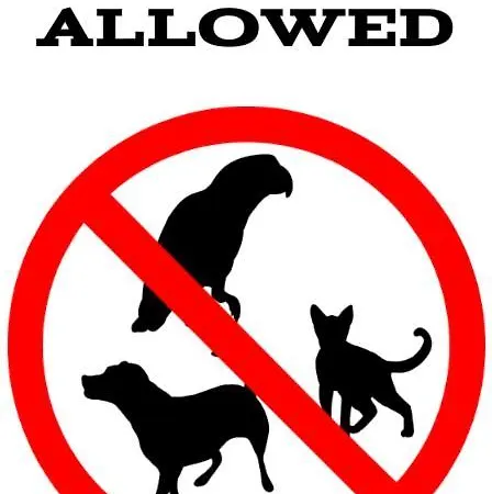 Apartament - Platan Tower Świnoujście